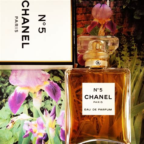 chanel parfum notes|best Chanel perfume fragrantica.